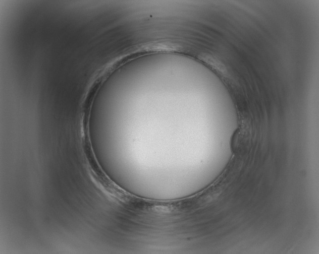 X0000073470302200607281106