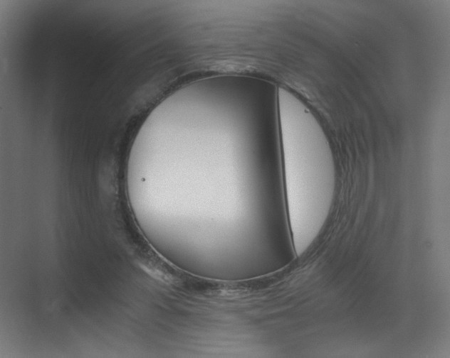 X0000073470303200607281106