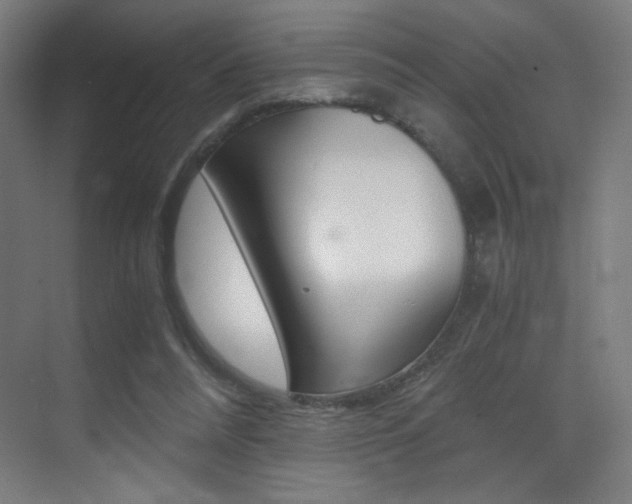X0000073470304200607281106
