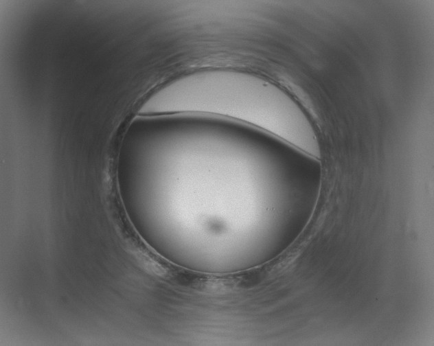 X0000073470305200607281106