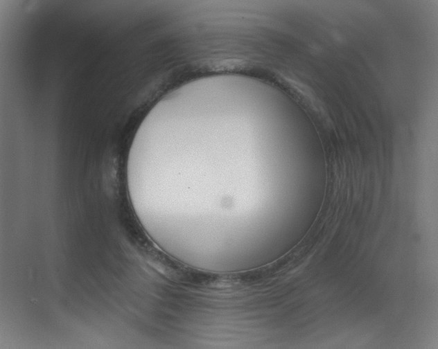 X0000073470308200607281106