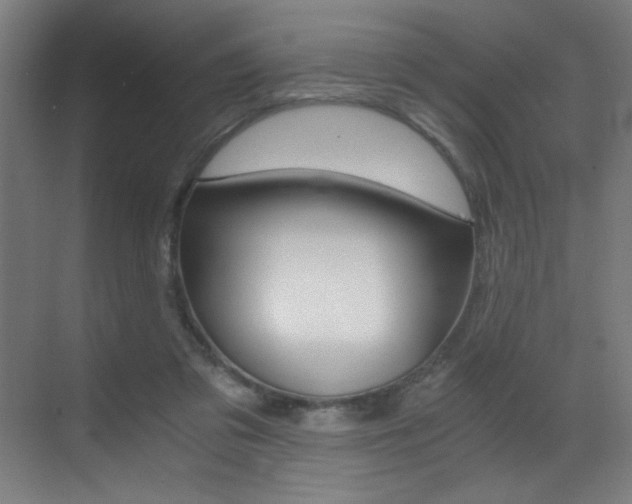 X0000073470309200607281106