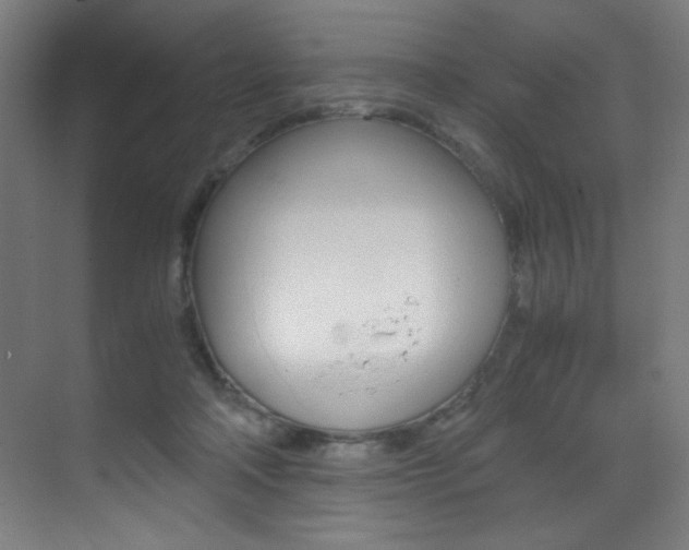 X0000073470314200607281105