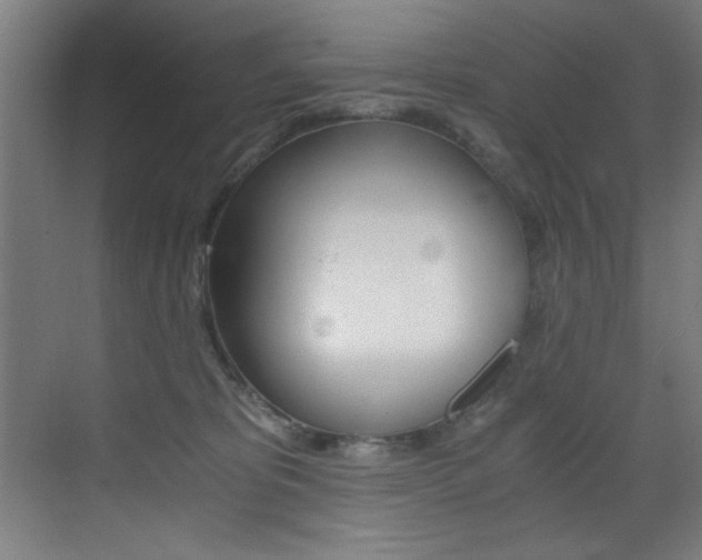 X0000073470325200607281105