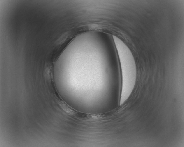 X0000073470329200607281105