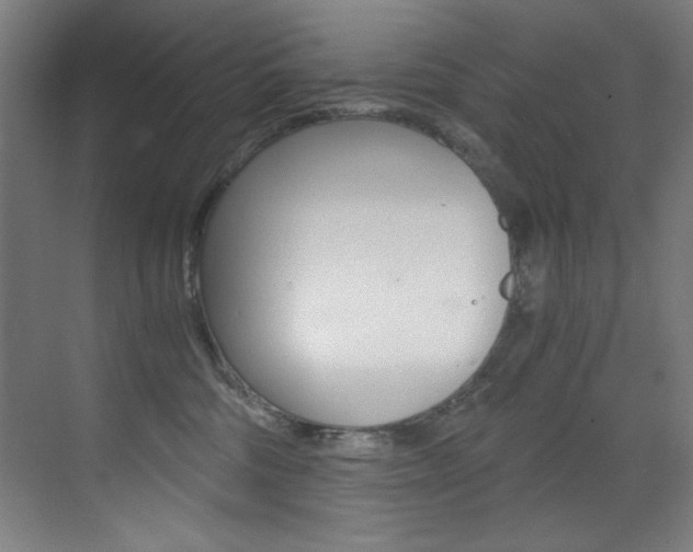 X0000073470330200607281105