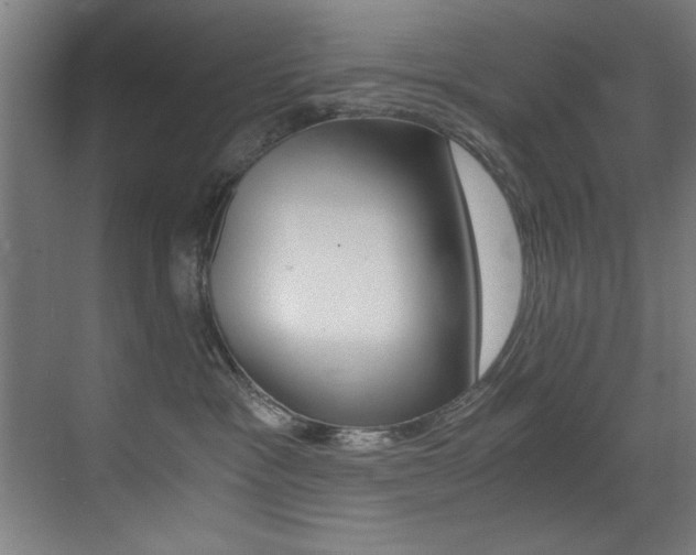 X0000073470333200607281105