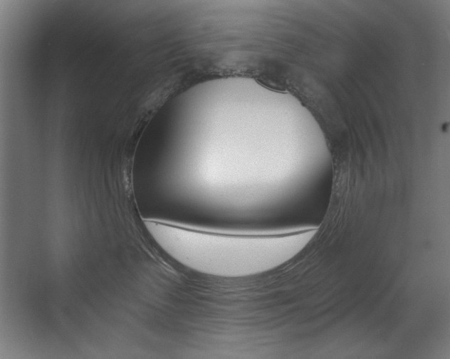 X0000073470335200607281105