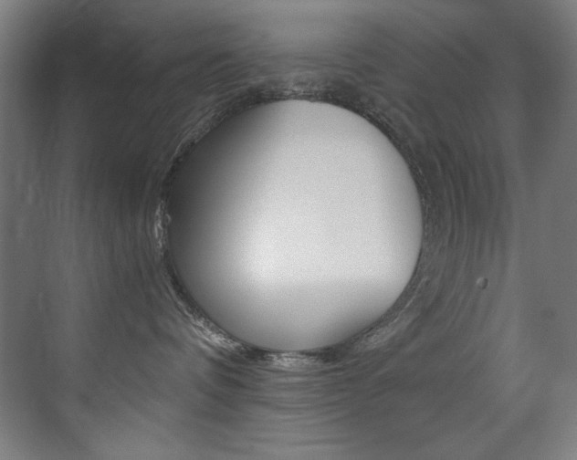 X0000073470336200607281105