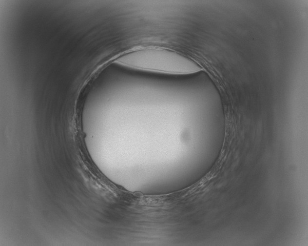X0000073470338200607281104