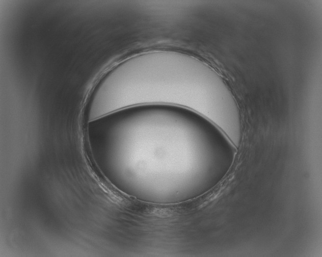 X0000073470341200607281104