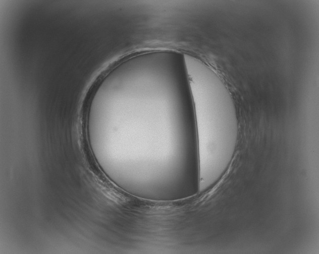 X0000073470342200607281104