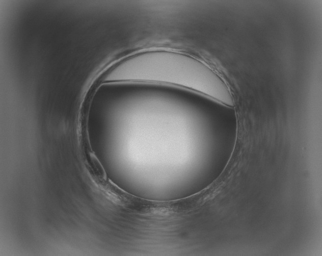 X0000073470344200607281104