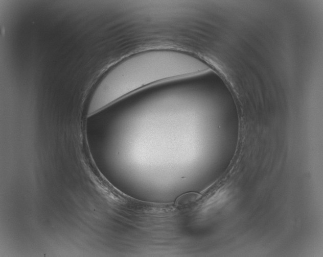 X0000073470345200607281104