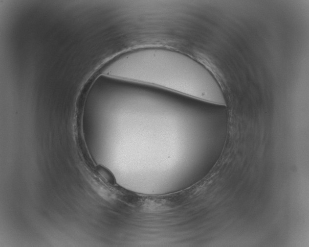 X0000073470346200607281104