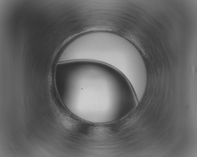 X0000073470348200607281104