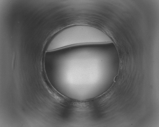 X0000073470349200607281104