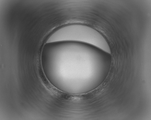 X0000073470352200607281105