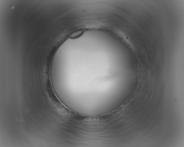 X0000073470354200607281105