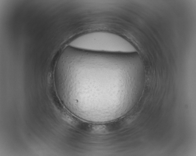 X0000073470355200607281105