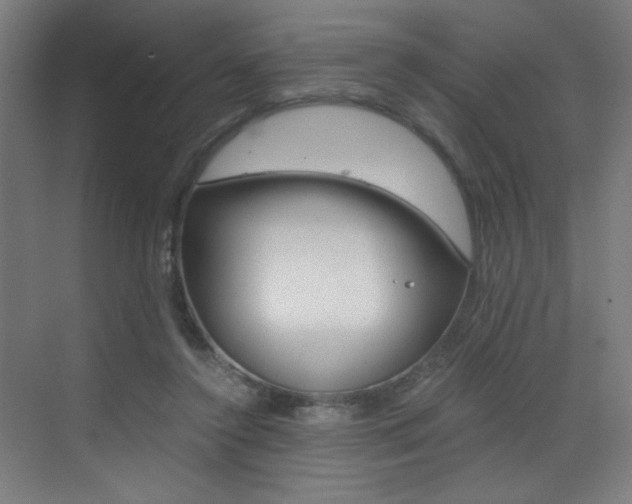 X0000073470356200607281105