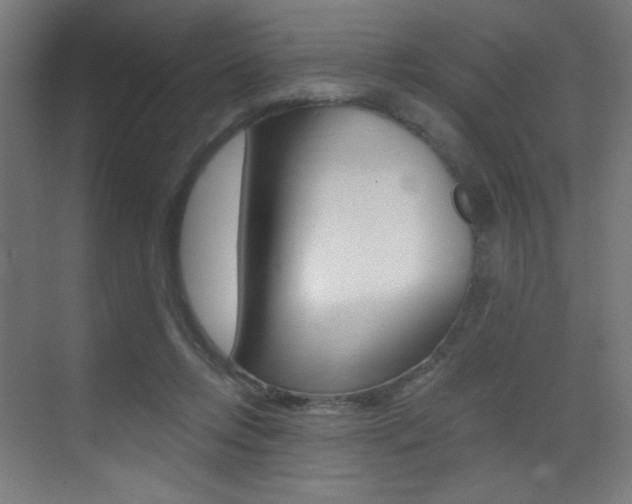 X0000073470358200607281105