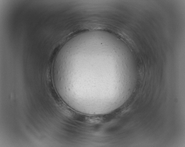 X0000073470359200607281105