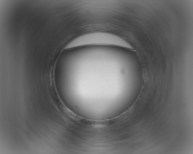 X0000073470360200607281105