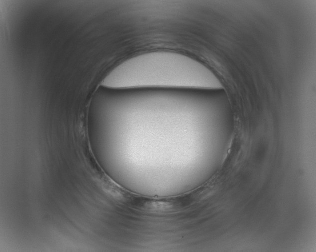 X0000073470361200607281105