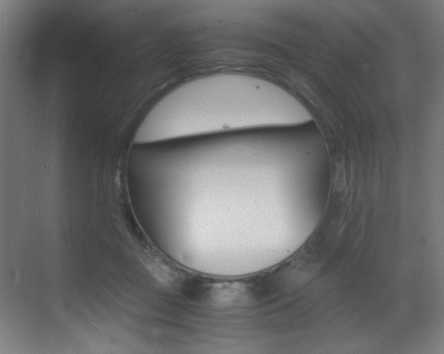 X0000073470363200607281105