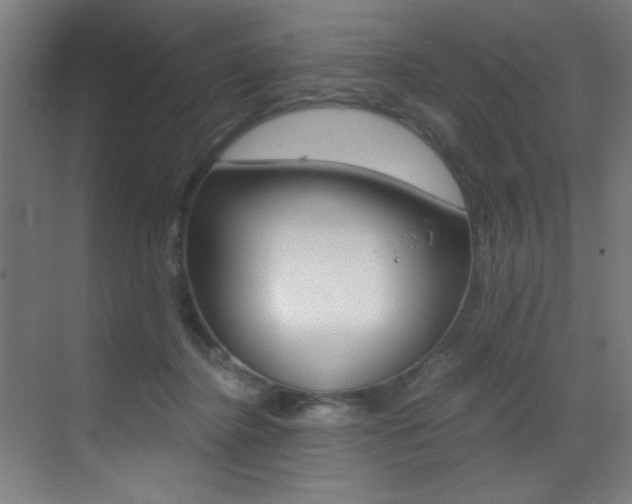 X0000073470364200607281105