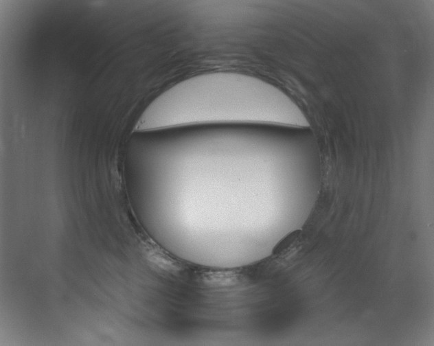 X0000073470377200607281105