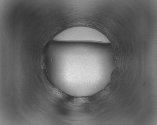 X0000073470378200607281105