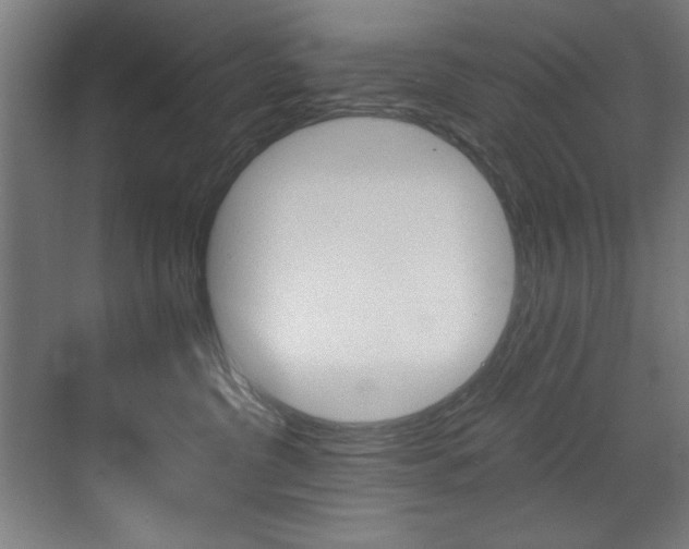 X0000073470380200607281105