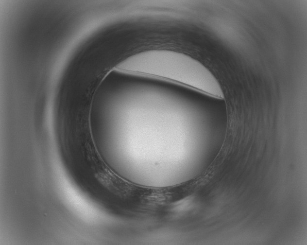 X0000073470383200607281105