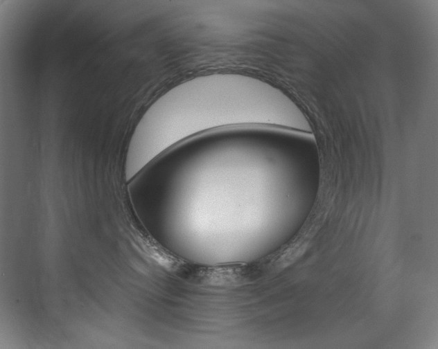 X0000073470384200607281105