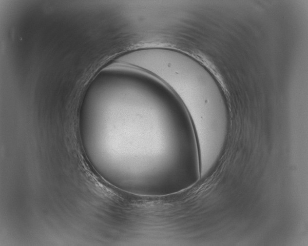 X0000073470385200607281104