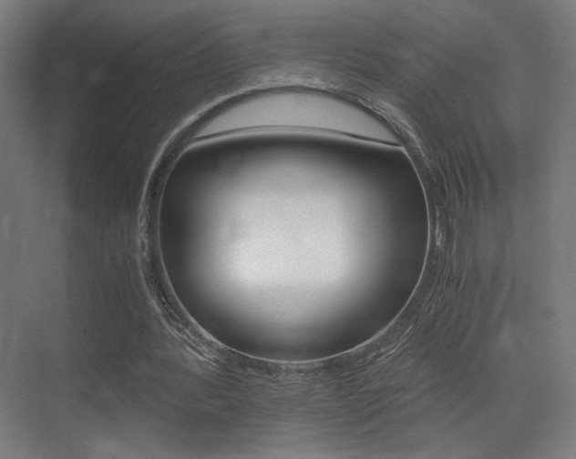 X0000073470388200607281104