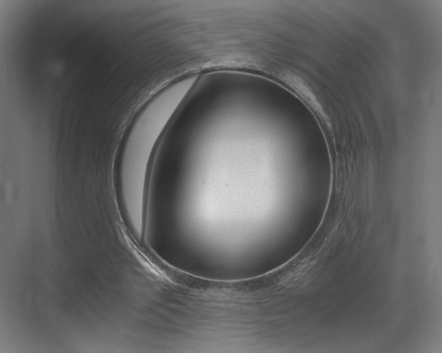 X0000073470389200607281104