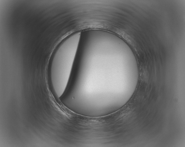 X0000073470390200607281104