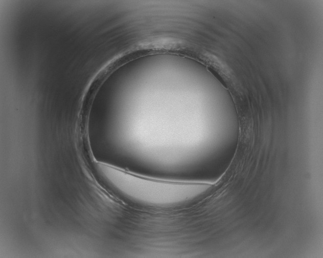 X0000073470392200607281104