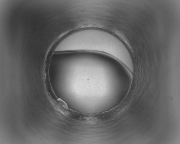 X0000073470395200607281104