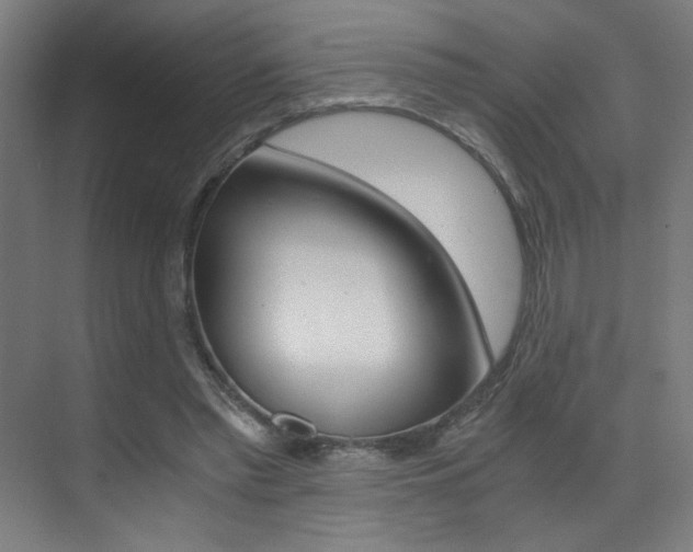 X0000073470397200607281104