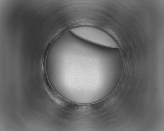 X0000073470398200607281104