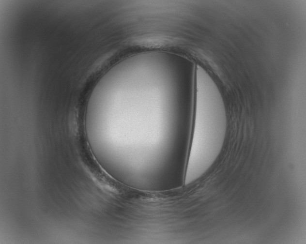X0000073470400200607281104