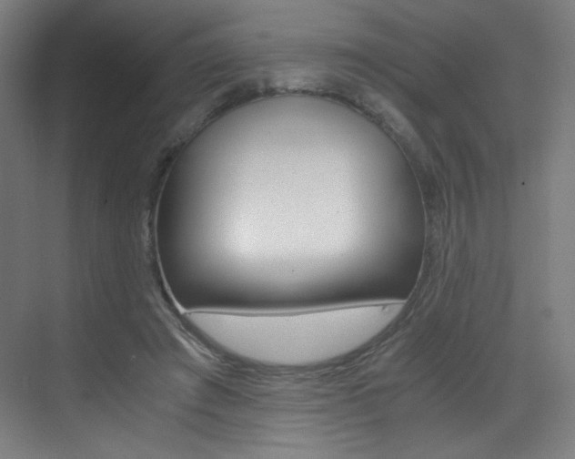 X0000073470401200607281104