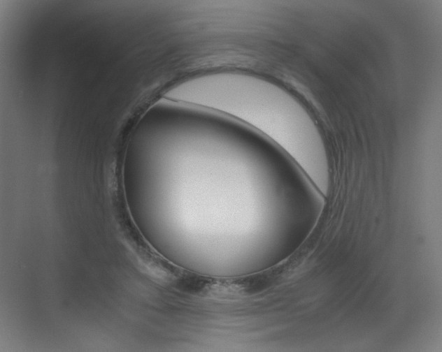 X0000073470403200607281104