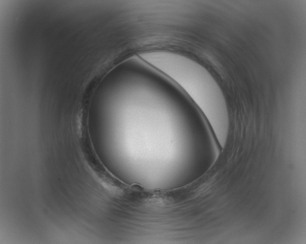 X0000073470404200607281104