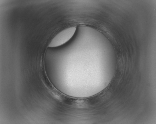 X0000073470406200607281104