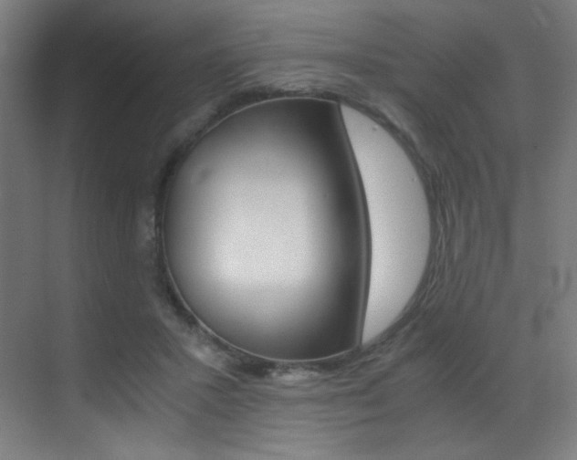X0000073470407200607281104